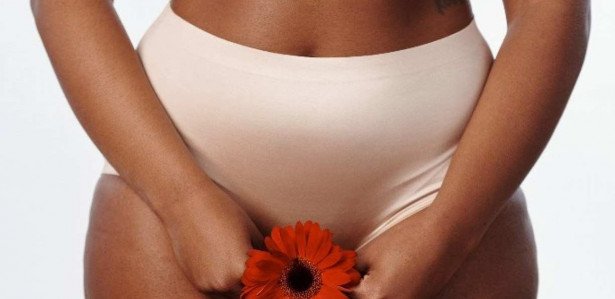 Qual A Diferen A Entre Vulva E Vagina E Onde Fica O Clit Ris Pesquisa