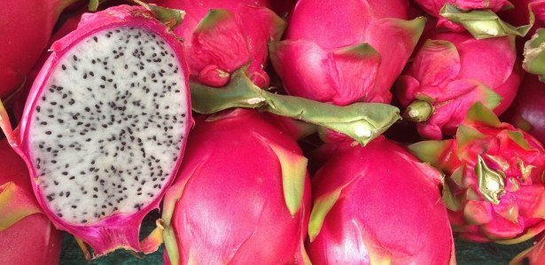 Fruta Que Cura Diabetes Pitaya Bom Para Diabetes Conhe A