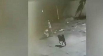 Caso aconteceu na cidade de Paulista, no Grande Recife