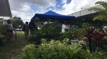Exposição Nordestina de Animais e Produtos Derivados começou neste sábado e segue até o dia 11 deste mês