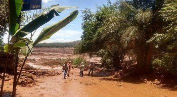 Onze aeronaves, 35 máquinas e 19 cães farejadores também estão sendo utilizados hoje