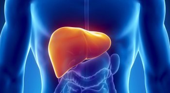 A melhor estratégia de prevenção da hepatite A é a higiene, além de saneamento básico