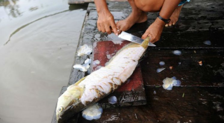 Pelos rios próximos à capital amazonense é comum encontrar pescadores nas portas das casas