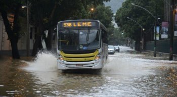 No Jardim Botânico, chuvas causaram danos a veículos e derrubaram árvores