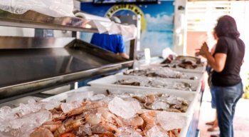 A Operação Pescado, da Vigilância Sanitária da Secretaria de Saúde do Recife, começou a ser intensificada no Recife
