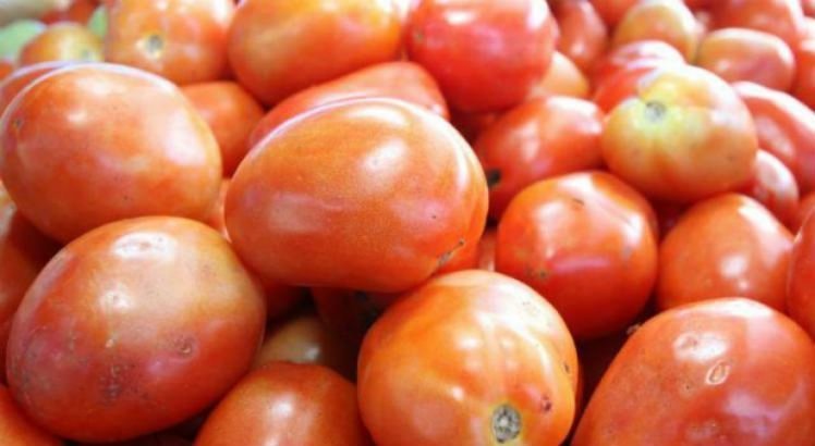 O tomate atingiu recorde no preço, a maior alta desde 2014