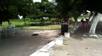 Sem legenda