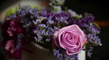 Flores são presentes populares no Dia das Mães