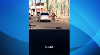 Sem legenda