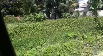 Sem legenda