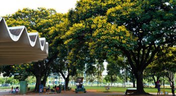 Pesquisa mostra que natureza beneficia bem-estar e saúde da população