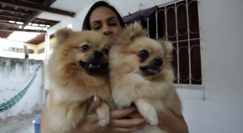Ana Eliza teve de se mudar devido ao regulamento do antigo prédio