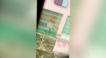 A mãe do homem diz que o filho é doente e passa por transtornos há cerca de 10 anos.