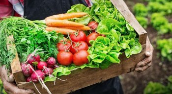 Também é preciso ficar sempre atento à higiene dos alimentos, orgânicos ou não