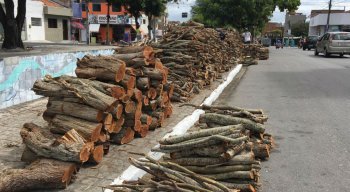 Fogueiras estão sendo comercializadas em pontos como a Avenida Rui Barbosa