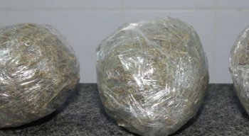 Maconha foi apreendida