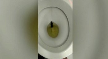 A gravação foi enviada para a produção do Bronca 24h