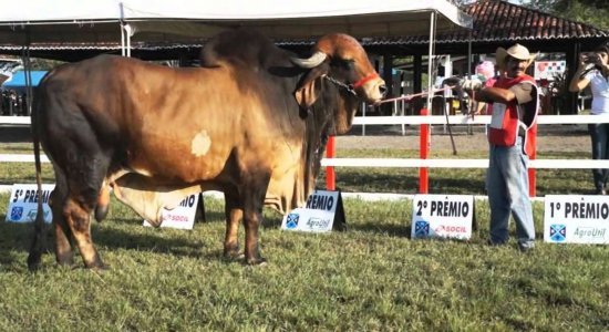 Evento será realizado a partir de 28 de agosto com entrada gratuita