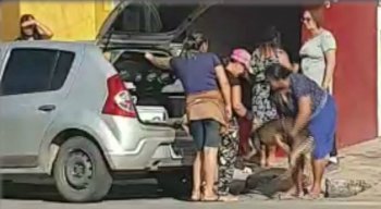 A mulher arruma o cão e depois fecha a mala e entra no carro para seguir viagem