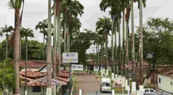 A exposição está prevista para começar no dia 14 de novembro. Mas para que ela seja confirmada, a situação precisa ser resolvida rapidamente.