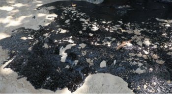 Os vídeos foram enviados por frequentadores das praias.