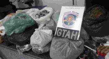 Segundo a polícia, foram encontrados com ele, cerca de noventa bigs de maconha