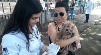 Dia de campanha de vacinação antirrábica animal no Recife