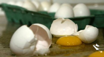 Produção de ovos de galinha foi recorde em 2018, atingindo 4,4 bilhões de dúzias, alta de 5,4% em comparação com 2017