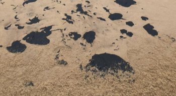 As manchas apareceram em praias de diversos estados do Nordeste