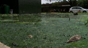 A situação, que fica localizada bem ao lado do espaço de intervalo do almoço