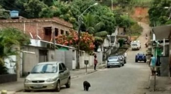 A polícia está procurando o suspeito do crime