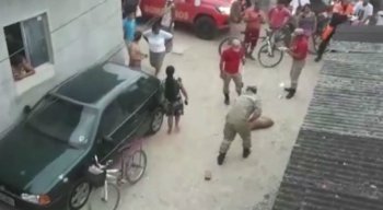Segundo os moradores, o pitbull estava solto na Rua Jaborandi