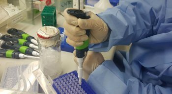 Pesquisa constatou que mulheres e crianças que já foram infectadas pelo vírus Zika podem desenvolver imunidade à doença