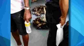 O vídeo mostra que o vendedor ambulante coloca as cordas com os animais no piso e também oferece aos passageiros para encontrar alguém interessado em comprar.