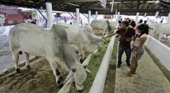 A feira costuma movimentar cerca de R$ 30 milhões em negócios.