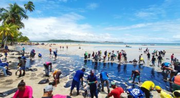 Força tarefa atua na retirada de óleo da Praia dos Carneiros, em Tamandaré