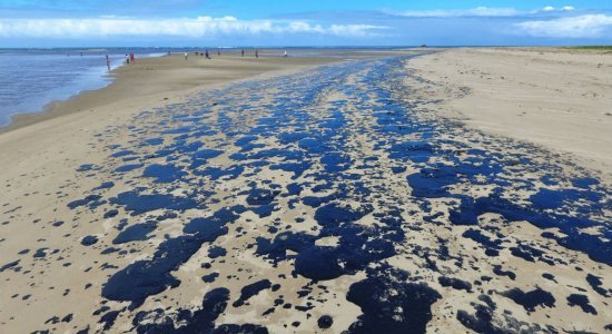 Visão da Praia dos Carneiros, em Tamandaré