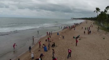 Voluntários entraram em ação pra tentar salvar mais uma praia pernambucana.