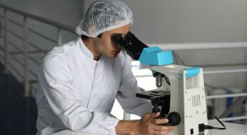 Alvo terapêutico para o câncer de ovário foi identificado por pesquisadores do Brasil e dos Estados Unidos