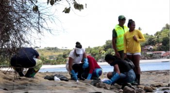 Voluntários trabalharam na remoção dos fragmentos de óleo