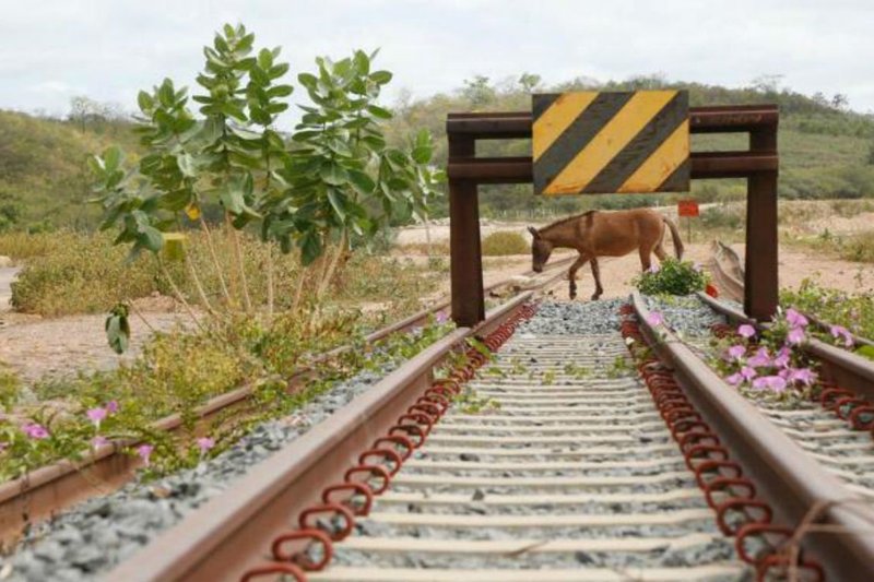 Obras da ferrovia começaram em 2006