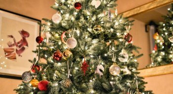 Luzes abrilhantam decoração de Natal