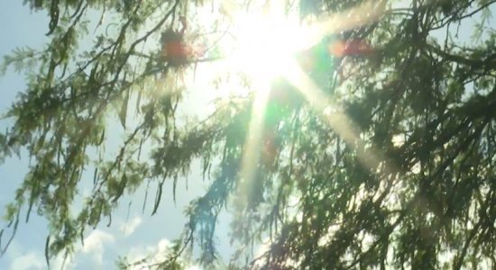 Verão ainda nem começou e as cidades da região já registram altas temperaturas