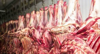 Alta do preço das carnes puxa inflação em novembro no país, diz IBGE