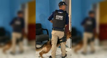 Durante a operação, 11 mandados de prisão e 13 de busca e apreensão domiciliar