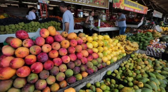 Coronavírus: exportação de frutas do Vale do São Francisco é afetada