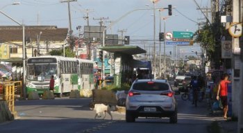 Confira as linhas de ônibus que vão sofrer alterações