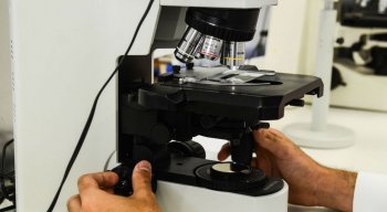 Cisplatina é um quimioterápico eficiente para tumores no ovário