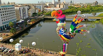 Em 2020, é a 42ª vez em que o Galo Gigante vai arrastar uma multidão de foliões pela ruas do Recife