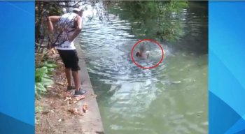 Os torcedores foram ameaçados de agressão e pularam dentro do canal